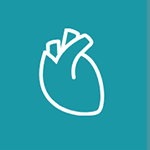 human heart